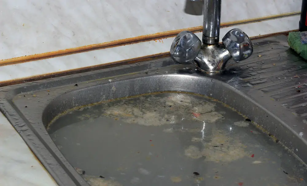 unclog kitchen sink with disposal